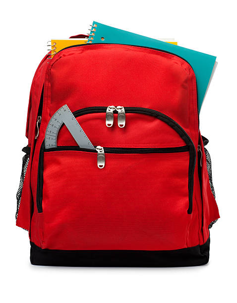 Office Essentials Bundle